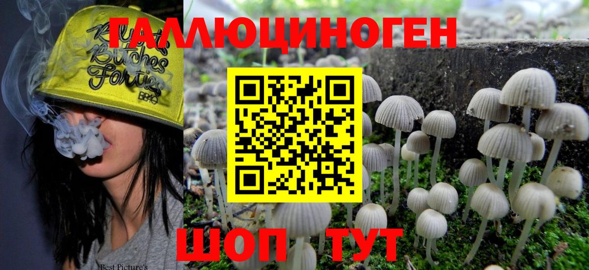 Галлюциногенные грибы GOLDEN TEACHER  Псилоцибиновые грибы Cubensis  Чусовой  Вход с VPN 